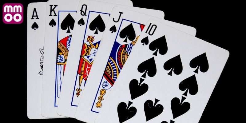 Các bước thực hiện thi đấu bài nhiều bàn