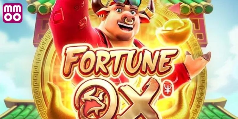 Những khu vực quay hũ phổ biến nhất